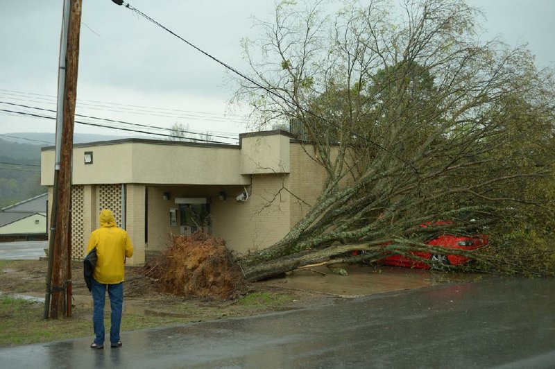 NWA Democrat-Gazette/ANDY SHUPE
A tree rests on top of a car Friday, April 13, 2018, at Citizens Bank & Trust Co. in downtown Mountainburg after a tornado swept through the town.