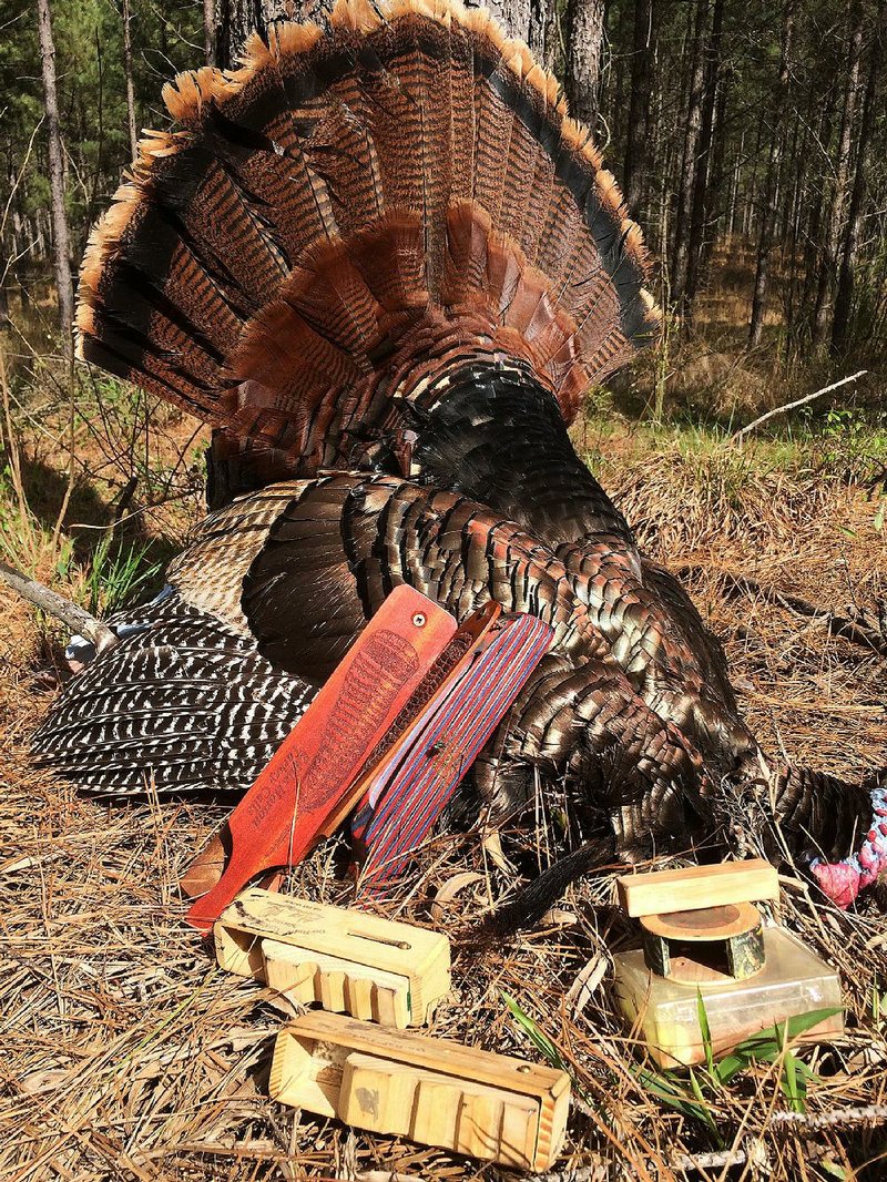 The author used all of these calls and a few others to persuade this gobbler to cross a ravine on opening day of spring turkey season.