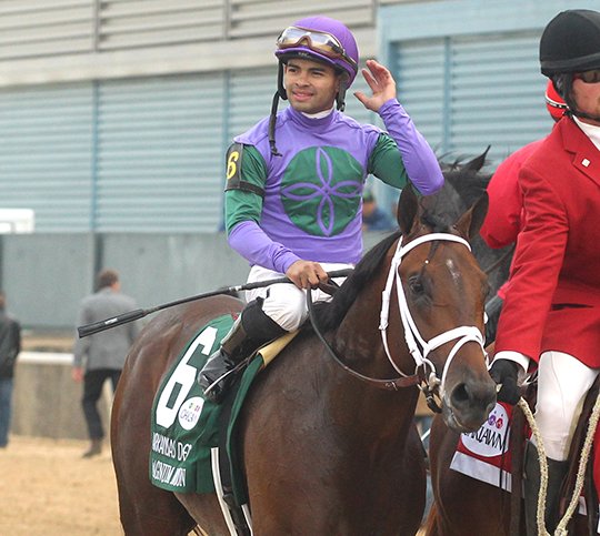 The Sentinel-Record/Richard Rasmussen DERBY WINNERS: Jockey Luis Saez and Magnum Moon head back to the winners circle after winning the Grade 1 $1 million Arkansas Derby Saturday at Oaklawn Park.