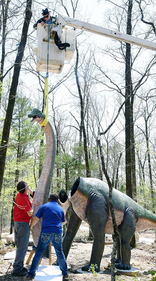 The Sentinel-Record/Grace Brown - Triston Bracewell, above, with Fast Signs Hot Springs, assists his father, Bill, left, and Skyler Smith install the head to a brachiosaurus featured in the new Oaklawn Foundation Dino Trek exhibit at Mid America Science Museum on Thursday, April 12, 2018. 