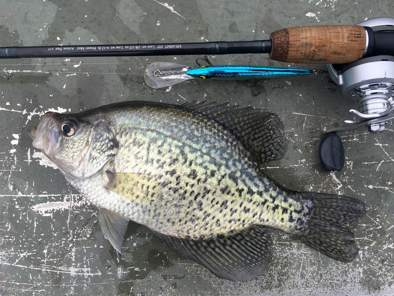Talk tips off new anglers at Beaver Lake