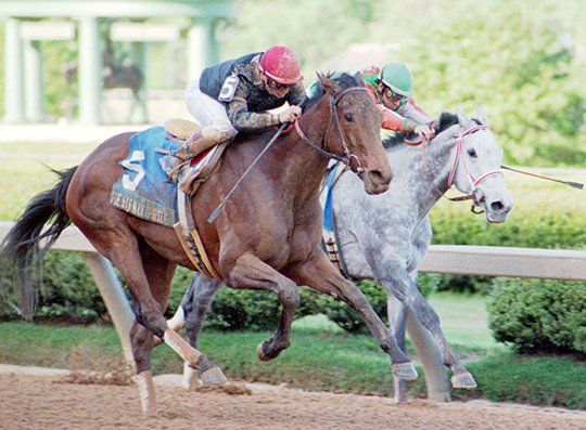 The Sentinel-Record/File photo HALL OF FAME: Jockey Pat Day on Heavenly Prize (5) takes the lead in the stretch of the 1995 Apple Blossom Handicap ahead of Paseana with Chris McCarron on board.