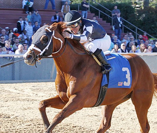 EX-CLAIMER: Jockey Fernando De La Cruz won a first-level allowance/optional claimer on March 3 at Oaklawn Park in Exclamation Point's two-turn debut. Exclamation Point is likely headed for stakes company following another claiming victory at Keeneland. Photo by Coady Photography.