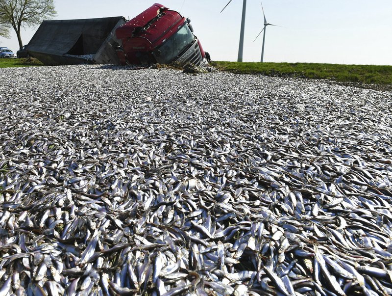 A truck with tons of fish crashed near Liepen in northeastern Germany on Friday, April 20, 2018.