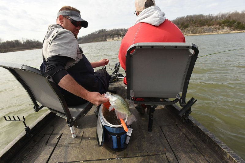 Video, Photos: Eight rods better than one for Beaver Lake crappie