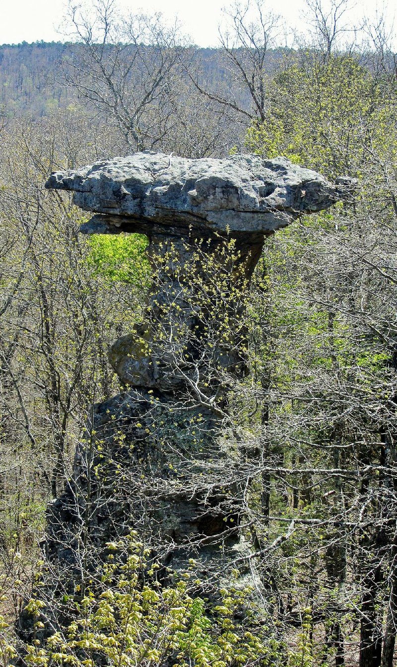 Pedestal Rocks Scenic Area, in Ozark-St. Francis National Forests, is the site of rock columns formed over eons by water and wind erosion.  
