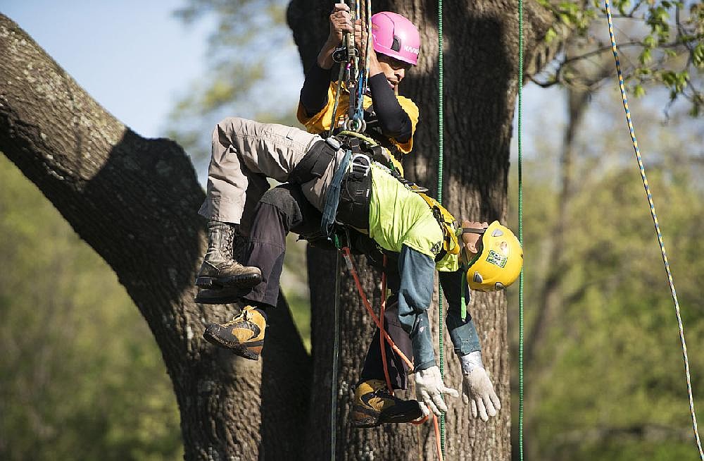 PHOTOS: Arborists shake things up in tree climbing contest in Arkansas ...