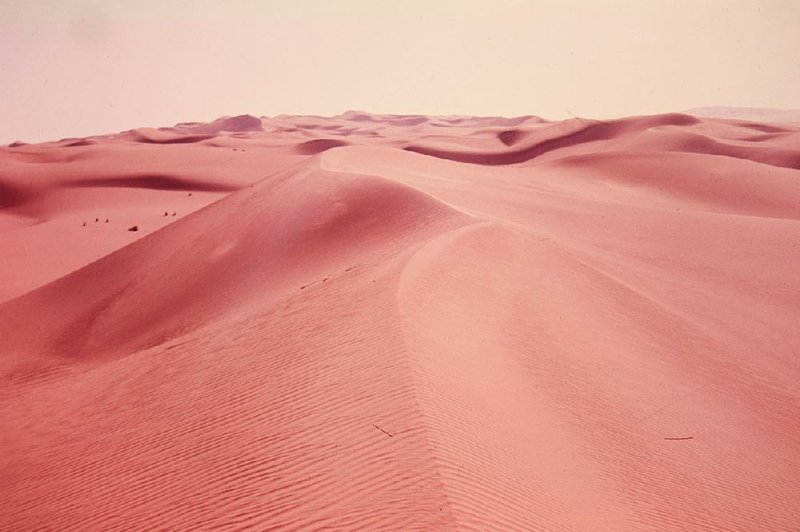 Red sand dunes of the Libyan Sahara Desert. 