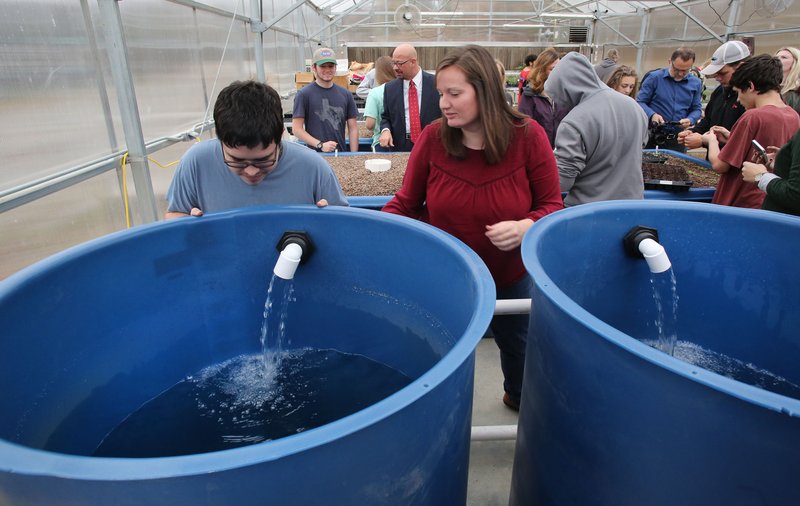 Will Grogan (left), a senior at Fayetteville High School, and Jade Cameron restore the water circulation in the fish tanks in her Principals of Agricultural Plant Science class on Nov. 7 for the new aquaponic system inside the greenhouse at the school. The new system was funded through the Fayetteville Public Education Foundation. The system is currently using live goldfish to supply the nutrients for the plants.