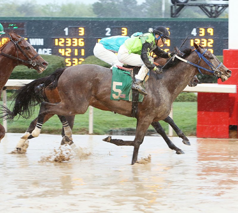 Oaklawn winners continue momentum after meet | Hot Springs Sentinel Record