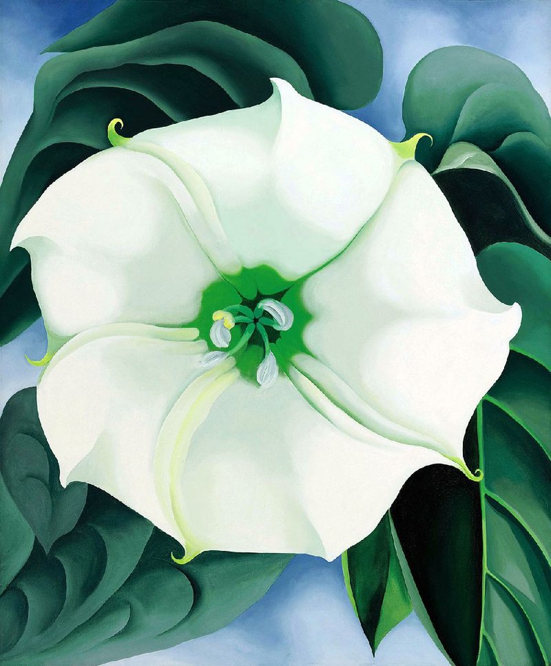 Jimson Weed/White Flower No. 1 by Georgia O’Keeffe is part of “The Beyond: Georgia O’Keeffe and Contemporary Art,” opening Saturday at Crystal Bridges Museum of American Art in Bentonville. 
