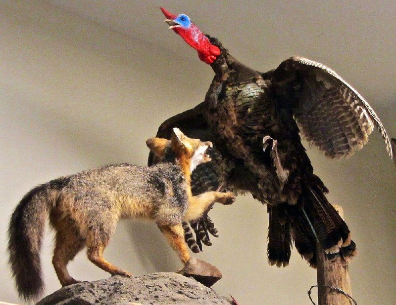 The visitor center at Fred Berry Conservation Education Center on Crooked Creek near Yellville presents tableaux from nature via taxidermy. 
