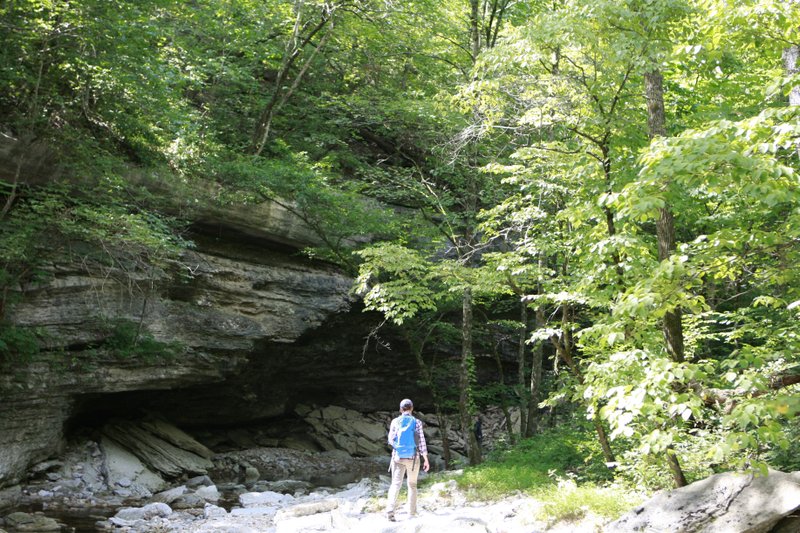 A hiker travels along a spring-fed creek in the Devil’s Eyebrow Natural Area in northeast Benton County in this July 2017 photograph. 