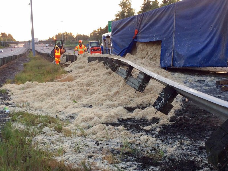 In this Wednesday, May 23, 2018, photo provided by KOMOnews.com, chicken feathers cover the ground alongside Interstate 5 in Federal Way, Wash. A tractor-trailer made a fowl mess when it rolled over, dumping about 40,000 pounds of chicken feathers across the freeway. Washington State Patrol Trooper Rick Johnson says the driver told investigators he fell asleep at about 3:30 a.m. north of Tacoma and lost control of the truck, which hit a guardrail and overturned. The truck was hauling the feathers from a poultry facility to a rendering company in Vancouver, British Columbia. (Theron Zahn/KOMOnews.com via AP)