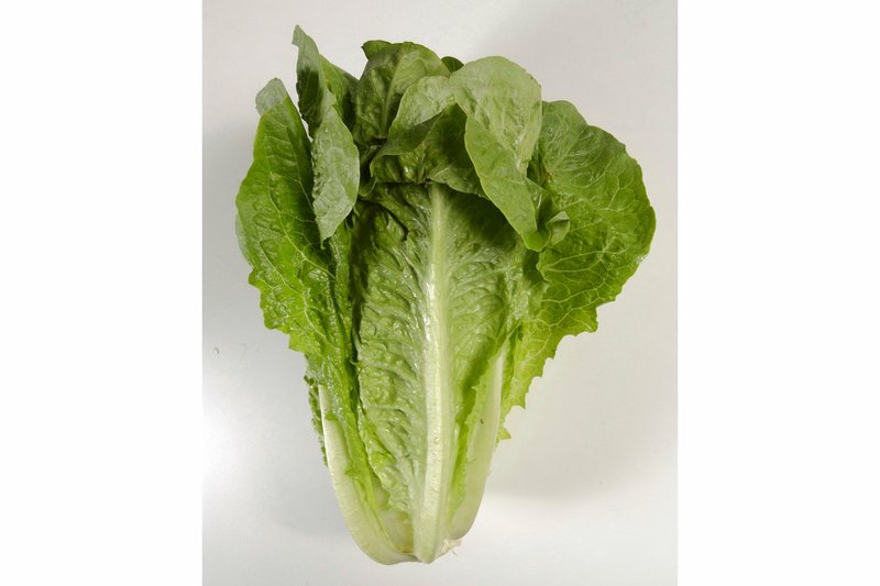 FILE - This undated photo shows romaine lettuce in Houston. On Friday, June 1, 2018, the U.S. Centers for Disease Control and Prevention said four more deaths have been linked to a national romaine lettuce food poisoning outbreak, bringing the total to 5. (Steve Campbell/Houston Chronicle via AP)