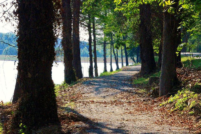 The new gravel trail along Lakewood Lake No. 1 has several shady spots to watch the geese.  