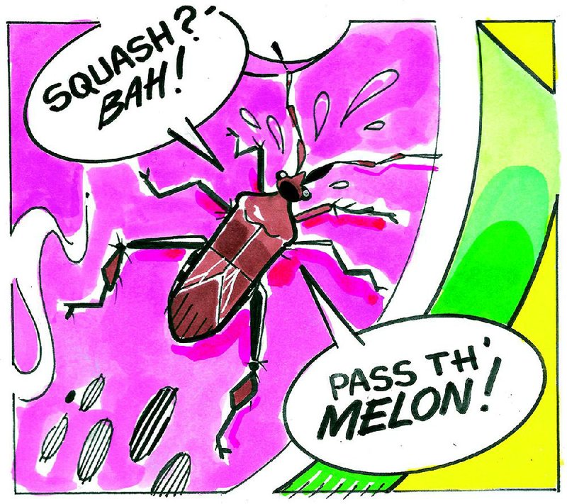 Arkansas Democrat-Gazette squash bug illustration. 
