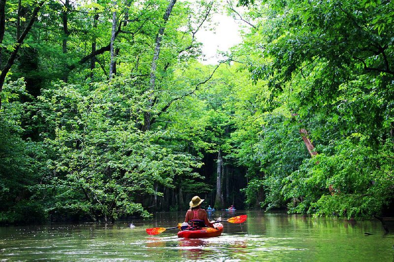 Stacy Price follows paddling buddies onto the Bayou DeView Water Trail, one of the 13 public paddling routes posted by the Arkansas Game and Fish Commission as Arkansas Water Trails. 