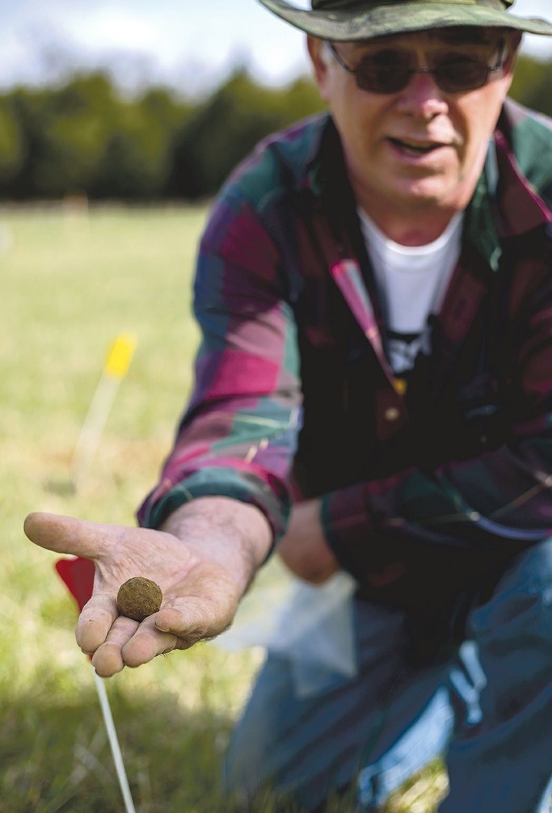 File photo Mark Wheeler of Garfield showed a piece of cannon shot uncovered in Ruddick's Field at the Pea Ridge National Military Park. Pieces retrieved in a spring break dig in 2016 directed by the Arkansas Archeological Survey will be returned after a three-year study to the National Parks Service and perhaps displayed at the local park.