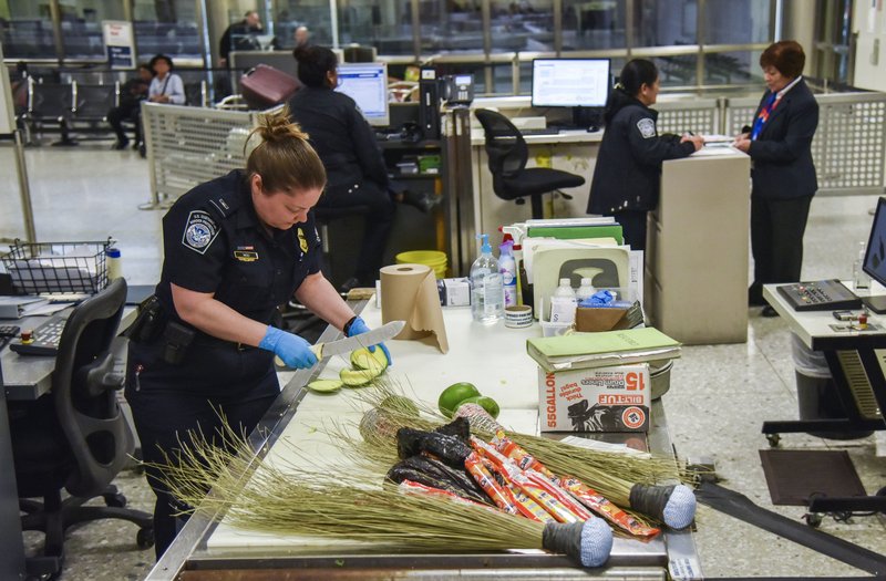 Valerie Woo, an Agriculture Specialist with Customs and Border Protection (CBP), examines mangoes for signs of mango weevils as the fruits were found in luggage aboard an incoming international flight at Dulles International Airport. (Washington Post photo by Jahi Chikwendiu)