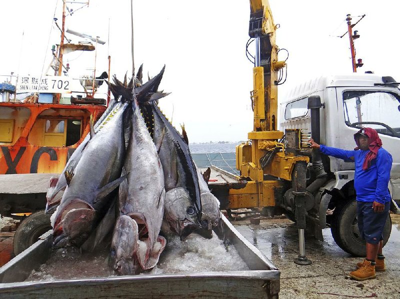 Fishermen at the Majuro port in the Marshall Islands unload yellowfin tuna in February for Luen Thai Fishing Venture, one of the companies that was providing fish that entered the supply chain of Sea To Table.  