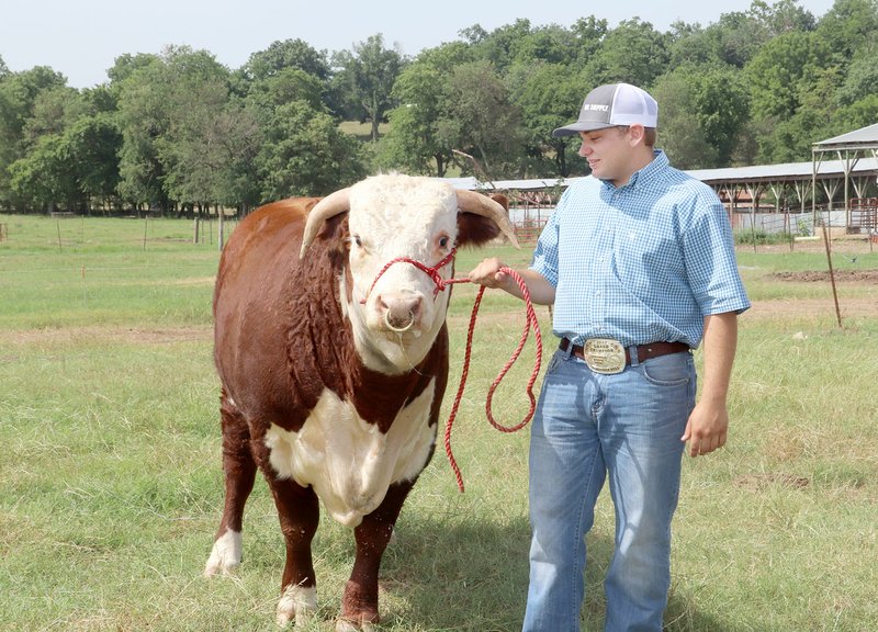 The Moyers consider Paul Cole an &quot;adopted&quot; member of their family. He started as a farm hand and then began showing cattle. Cole graduated from Prairie Grove High School in May and plans to attend Southern Arkansas University in Magnolia. He is leading Jet, his show animal, a horned Hereford.