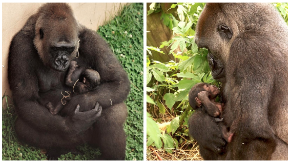 Sekani with her newborn 