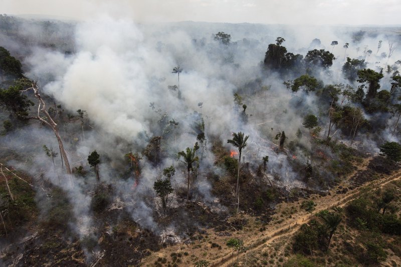 FILE - In this Sept. 15, 2009 file photo, a forest in the Amazon is burned illegally near Novo Progresso, in the northern Brazilian state of Para. Forest degradation in 2017 in Brazil, home to most of the Amazon rainforest, made up nearly 30 percent of global deforestation, more than any other country. (AP Photo/Andre Penner, File)