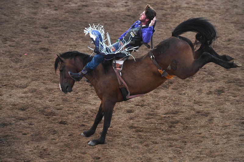 Tilden Hooper of Carthage, Texas, rides for a score of 85.5 during the bareback riding at the Rodeo of there Ozarks in Springdale. The rodeo continues through Saturday.