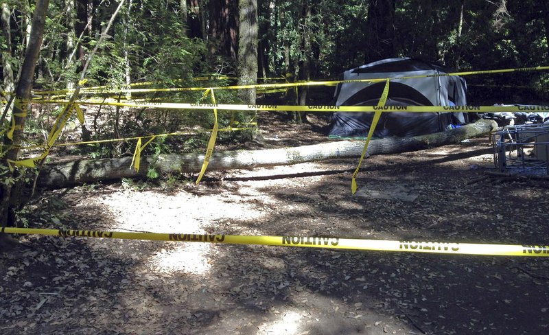 This July 2012 photo provided by attorney Tim Tietjen shows the scene where a boy was crushed and severely injured by a falling tree in San Mateo County Memorial Park in Loma Mar in Northern California.