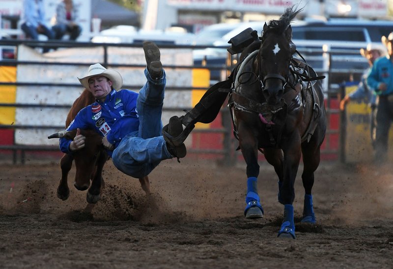 NWA Democrat-Gazette/J.T. WAMPLER Ty Erickson of Helena MT takes down his steer in 4.6 seconds Thursday June 28, 2018 at the Rodeo of the Ozarks in Springdale. The rodeo continues through Saturday.