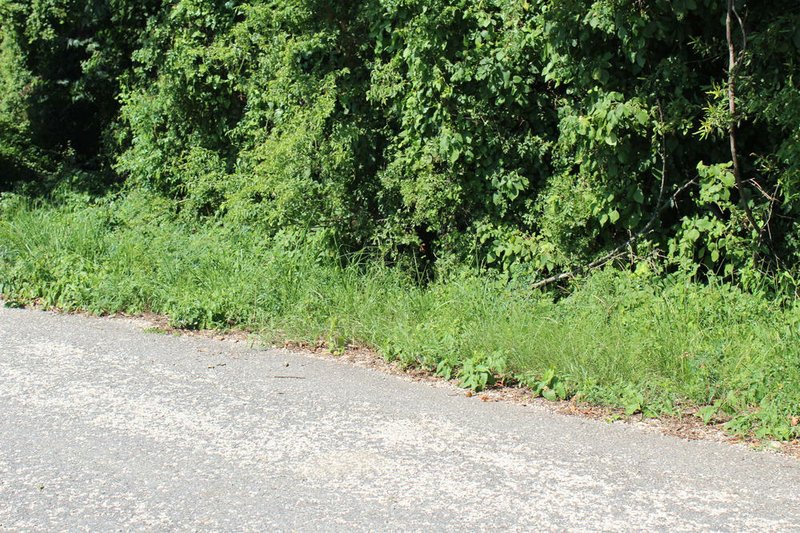 A body was found in this area of Gibb Anderson Road, near Pine Bluff, just south of Grider Field Ladd Road in Jefferson County on Wednesday, July 11, 2018, according to authorities.