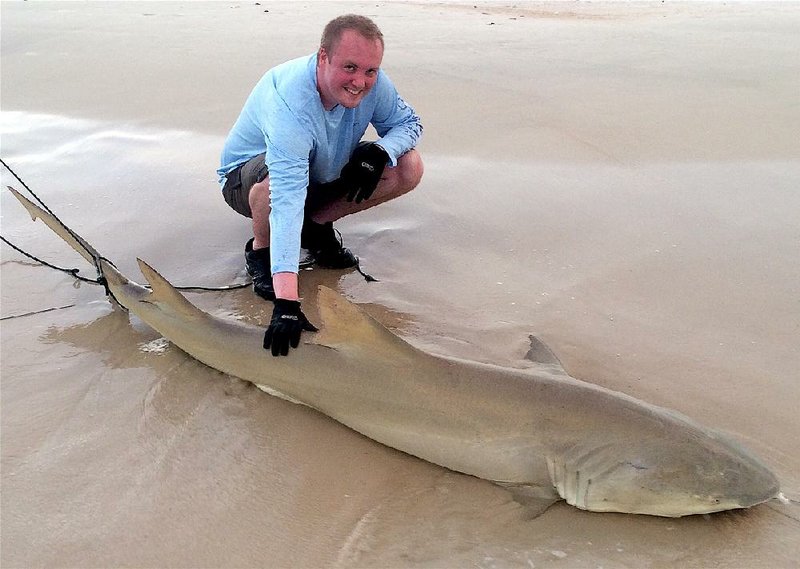 Barrett Harger of Little Rock caught and released this 8-foot, 8-inch lemon shark at St. George Island, Fla. Barrett is the son of Hal Harger of Little Rock.  
