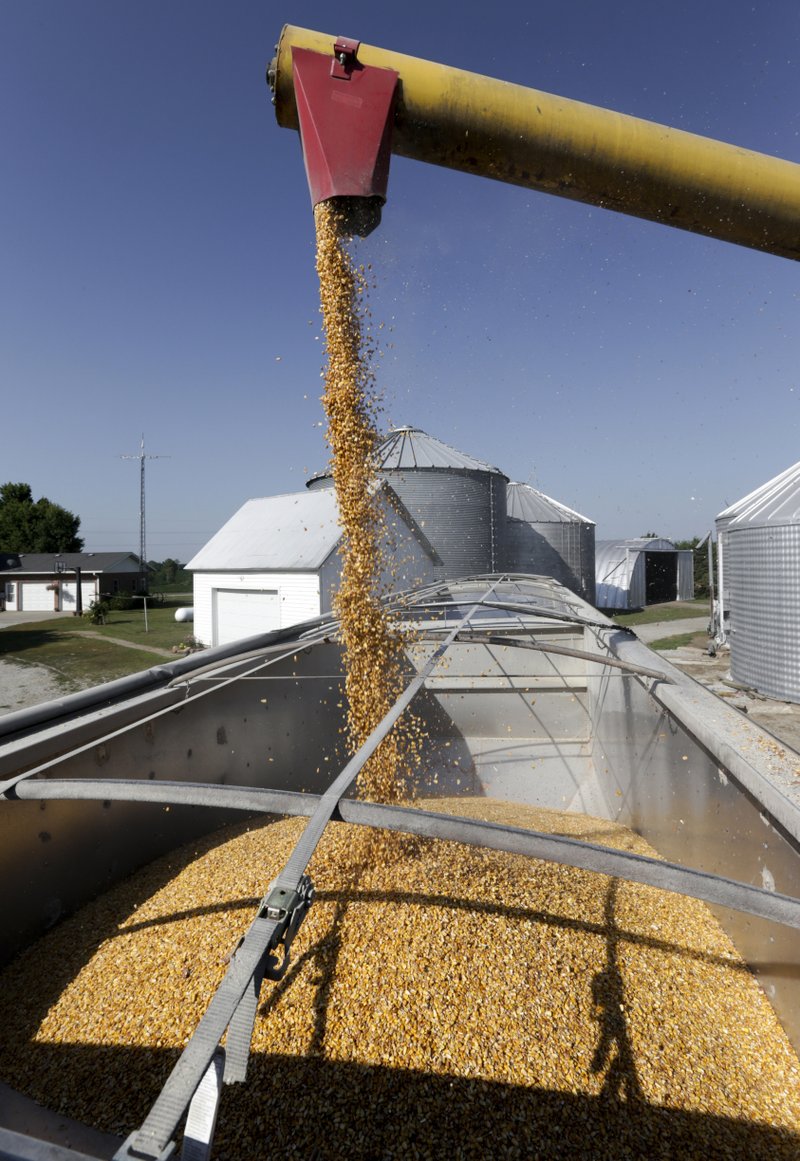 In this July 12, 2018 photo, an auger transfers corn to a grain truck at the farm of Don Bloss in Pawnee City, Neb. Farmers and agricultural economists are worried that president Donald Trump&#x2019;s trade, immigration and biofuels policies will cost farms billions of dollars in lost income and force some out of business. (AP Photo/Nati Harnik)