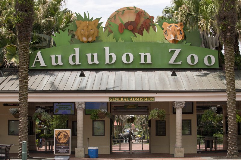 The Audubon Zoo closed after a jaguar escaped from its habitat and killed six animals, according to a release from zoo officials, Saturday, July 14, 2018 in New Orleans. (Brett Duke/The Times-Picayune via AP)

