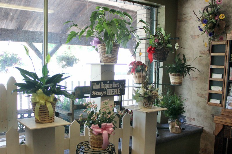 MEGAN DAVIS/MCDONALD COUNTY PRESS In addition to the change in ownership, Anderson Floral is also undergoing redecoration efforts inside. Fresh floral arrangements and novelty gifts are displayed throughout the shop.