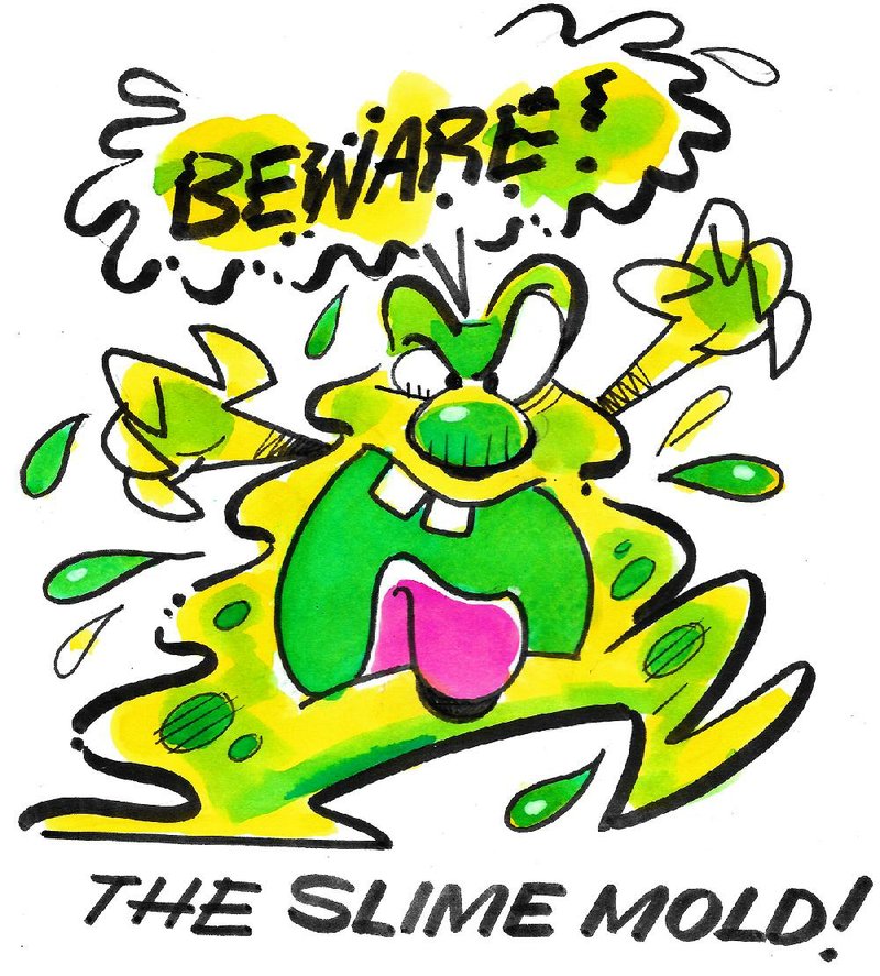 Arkansas Democrat-Gazette slime mold illustration. 