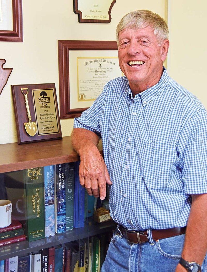 Ron Matlock of Benton is the 2018 Master Gardener Agent of the Year for programs with 51 members or more. Matlock is staff chair and agriculture agent, as well as Master Gardener adviser, for the Saline County Cooperative Extension Service, University of Arkansas Division of Agriculture.
