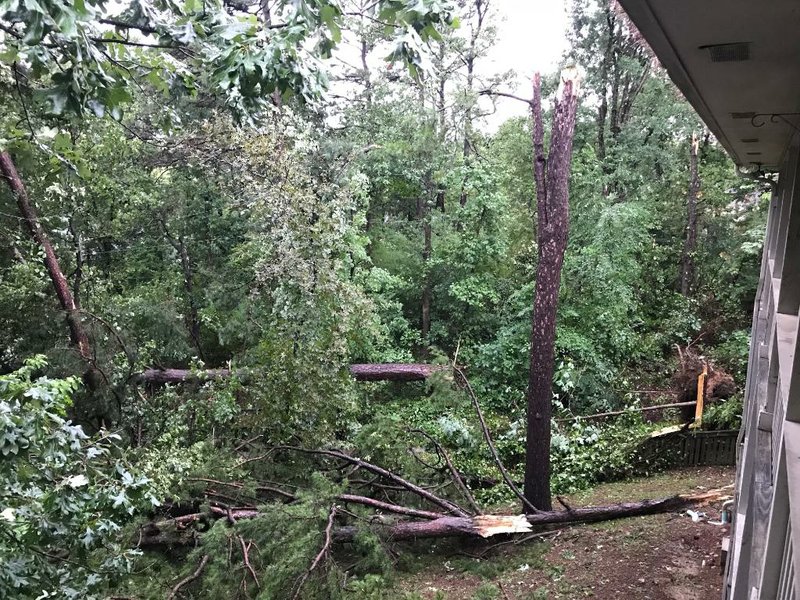 Trees are seen downed from overnight storms in west Little Rock in this photo from Entergy Arkansas.
