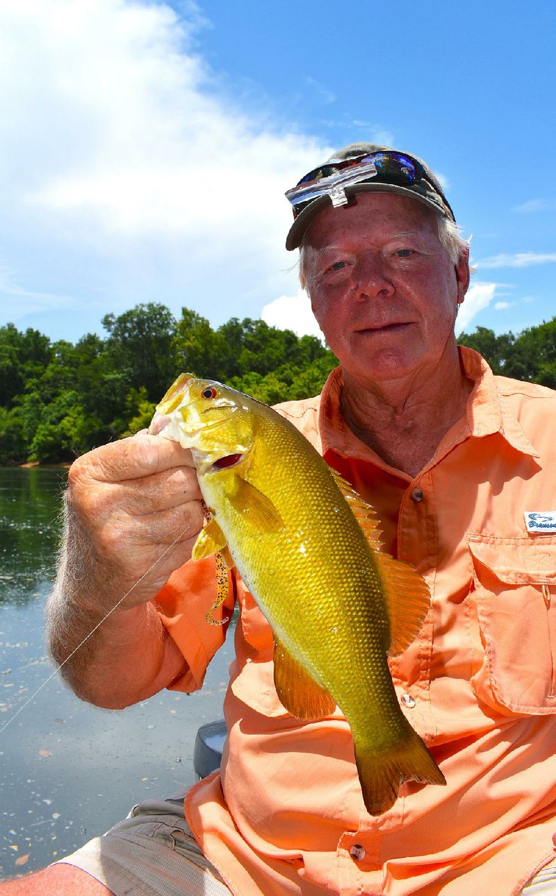 Ray Tucker of Little Rock caught the first smallmouth Monday on the White River near Mountain View. White River smallmouths exhibit more of a golden color than those in other waters around the state.  