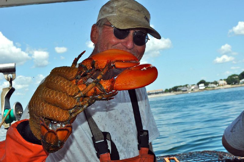 Bill Mahoney and his family have been fish- ing for lobsters in the Boston area for more than 40 years. Their East Point Lobster Co. ships to their cen- tral Arkansas “affliate,” Mahoney’s son Ryan, who supplies live lobsters and other sea- food to sever- al Little Rock restaurants and country and golf clubs.