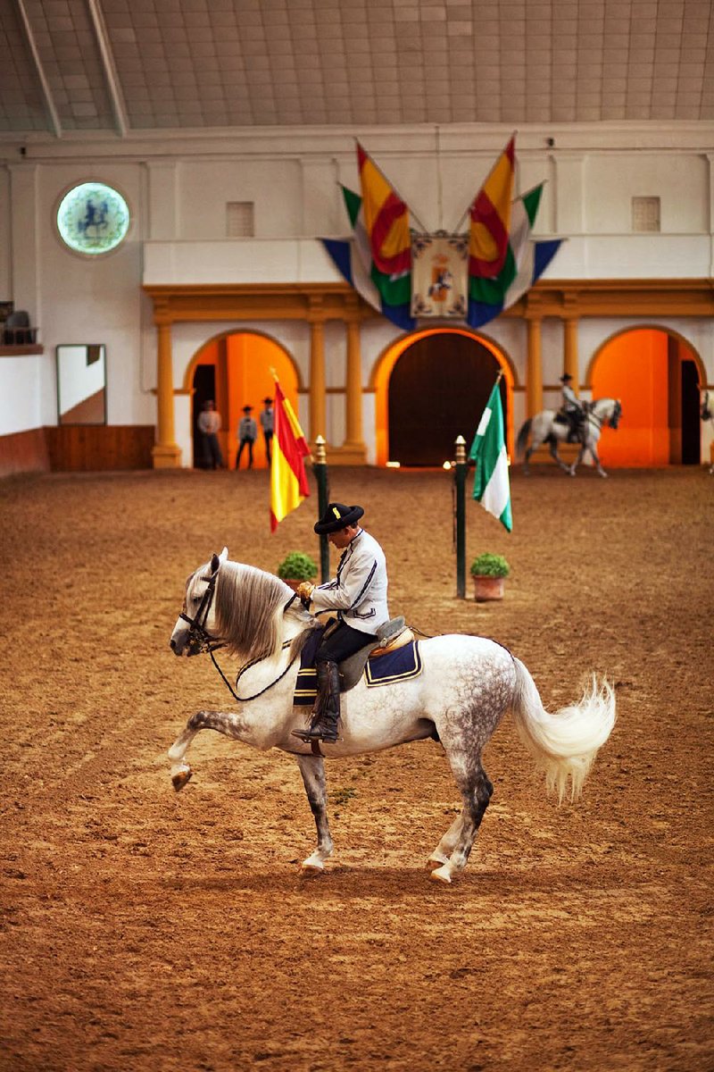 A performance at the Royal Andalusian School of Equestrian Art in Jerez, Spain, includes horses prancing, jumping, and hopping on their hind legs in time to the music.