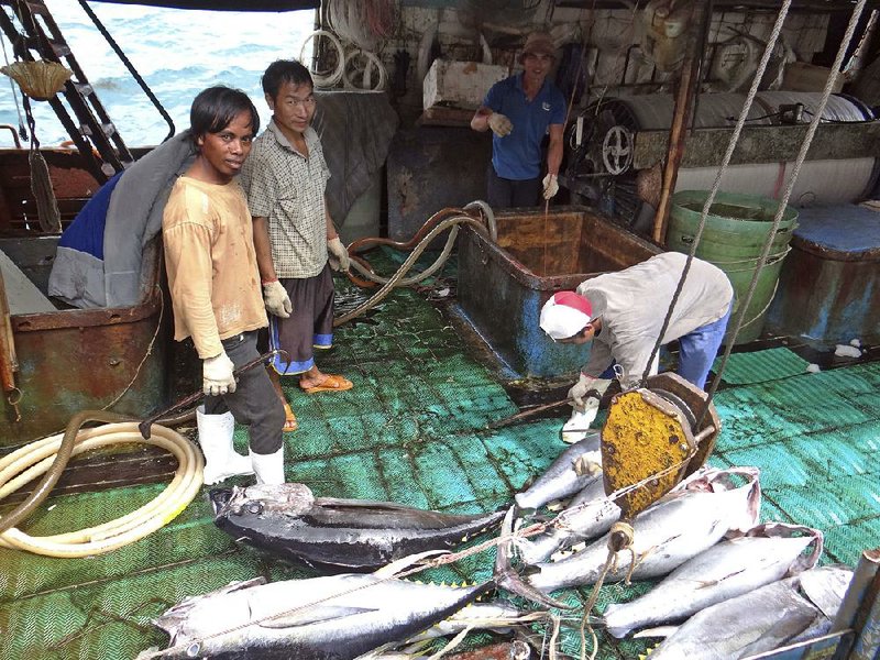 Fishermen at the Majuro port in the Marshall Islands unload yellowfin tuna in February for one of the companies that was providing fish that entered the supply chain of Sea To Table.
