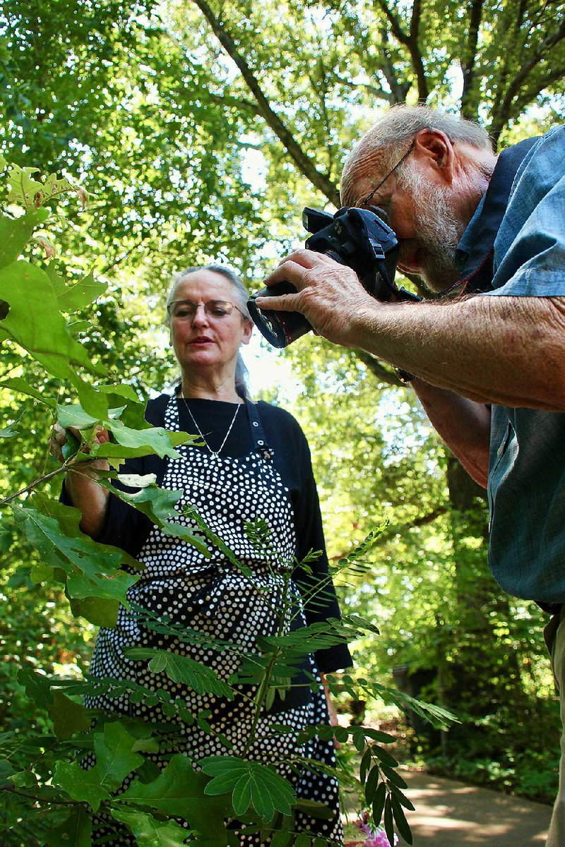 Cheryl Lavers holds an oak leaf steady as Norman Lavers focuses on the half-inch, green slug caterpillar that’s eating it beside the driveway of their home in Craighead County. The couple collaborated on the book 100 Insects of Arkansas and the MidSouth: Portraits & Stories. 