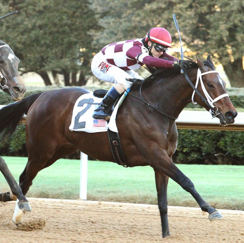 Submitted photo MAKING THE GRADE: Jockey Channing Hill rides Farrell to victory in the Pippin Stakes on Jan. 13 at Oaklawn Park. Farrell won Sunday for the first time since the Pippin, taking the the Grade 3 $200,000 Shuvee at Saratoga Race Course in New York.