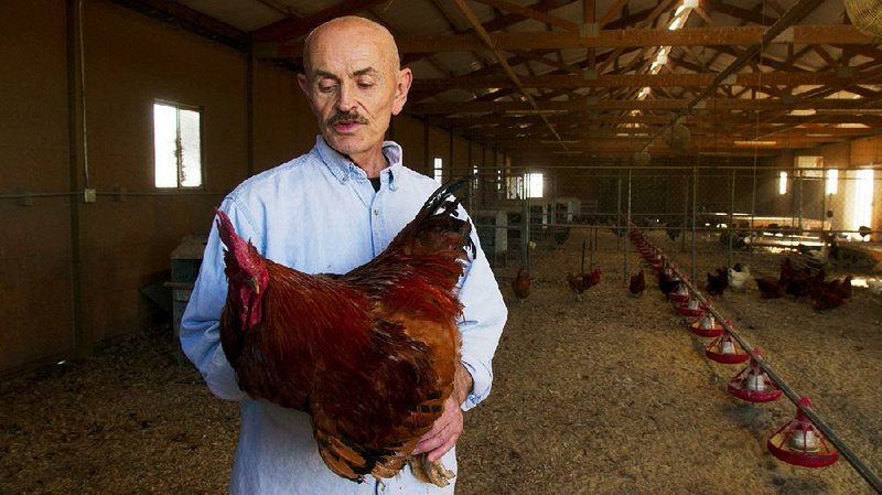 Heritage farmer Frank Reese is perhaps the most compelling figre — maybe the closest thing to a hero — in Christopher Dilon Quinn’s documentary Eating Animals. 