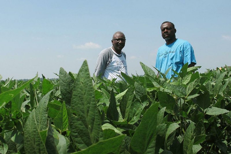 David Allen Hall (left) and Tyrone Grayer, shown in their soybean field near Parchman, Miss., in June, are among the farmers suing Stine Seed Co. over seeds that failed to yield a healthy crop. 