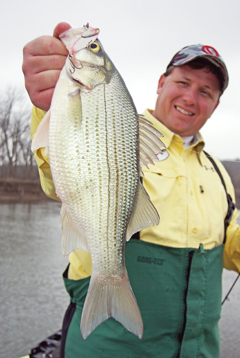  White Bass Lures