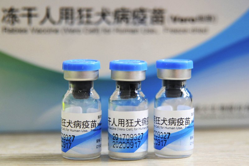 In this July 24, 2018, file photo, bottles of rabies vaccines made by Liaoning Chengda are seen at a Chinese Center for Disease Control and Prevention (CDC) station in Jiujiang in southern China's Jiangxi province. Two deputy Chinese provincial governors and a mayor were fired Thursday, Aug. 16, 2018 by the ruling Communist Party after revelations of misconduct by a major producer of anti-rabies vaccine triggered a public outcry. (