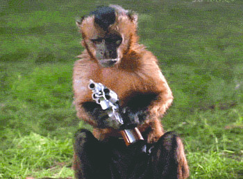 The Monkey Had a Gun
